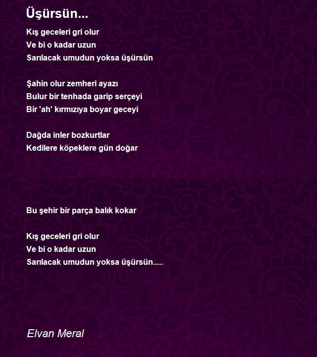 Elvan Meral