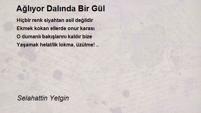 Selahattin Yetgin