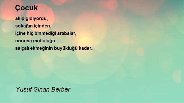 Yusuf Sinan Berber