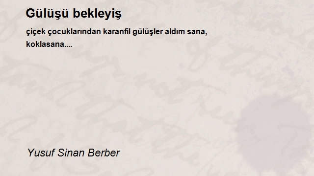 Yusuf Sinan Berber