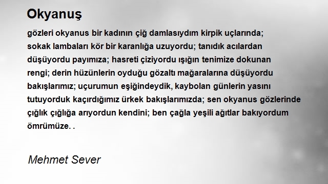 Mehmet Sever