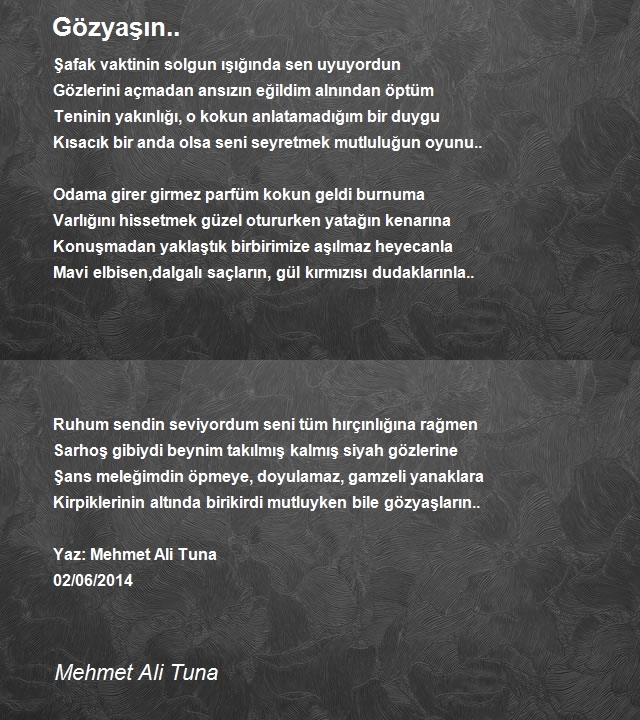 Mehmet Ali Tuna