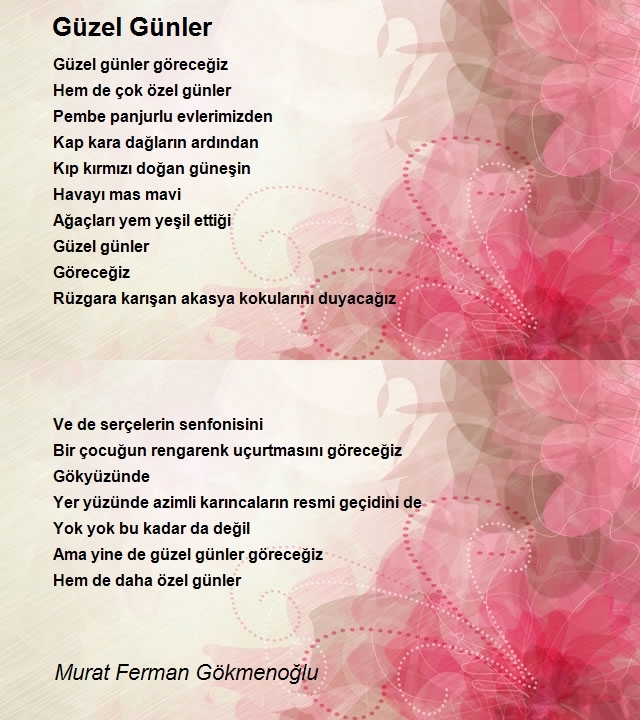 Murat Ferman Gökmenoğlu