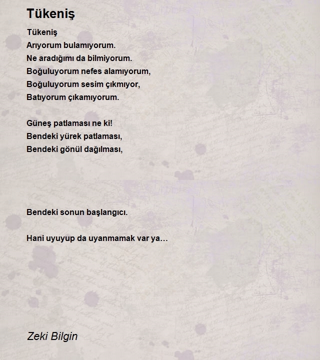 Zeki Bilgin