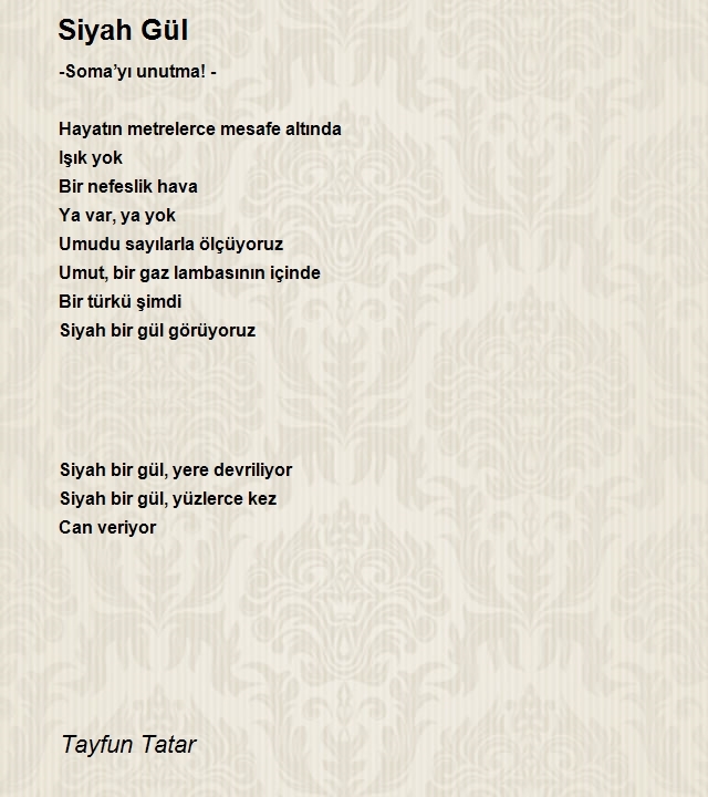 Tayfun Tatar