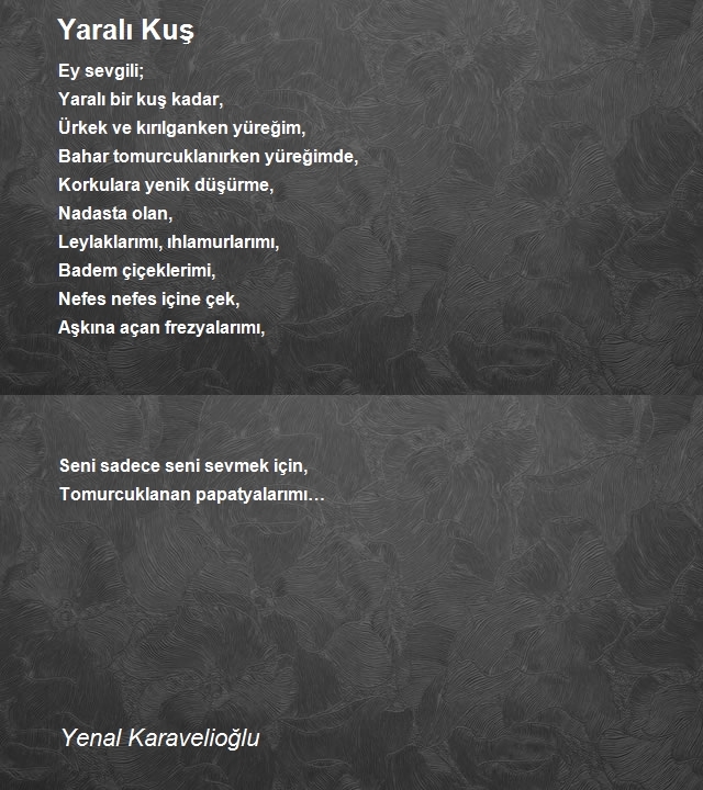 Yenal Karavelioğlu