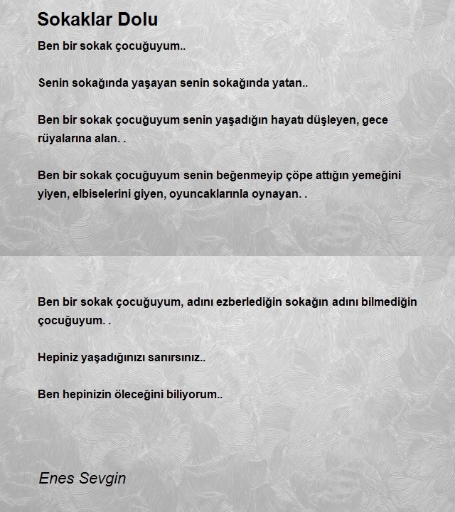 Enes Sevgin