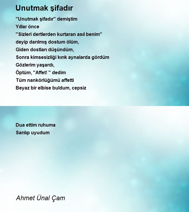 Ahmet Ünal Çam