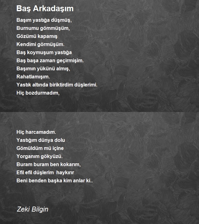 Zeki Bilgin