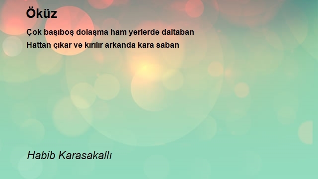 Habib Karasakallı