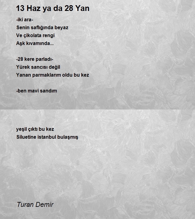 Turan Demir