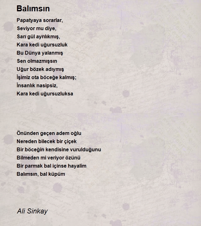 Ali Sinkay