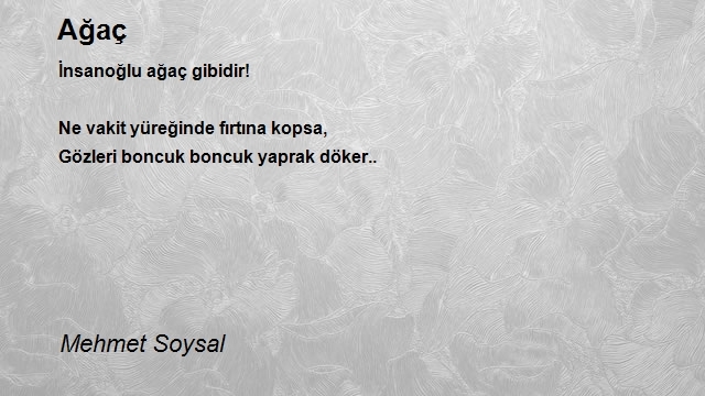 Mehmet Soysal