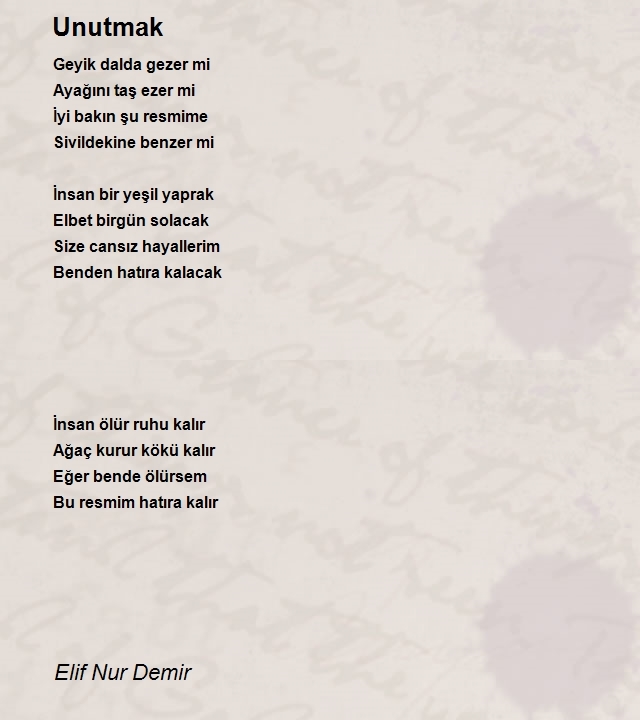 Elif Nur Demir