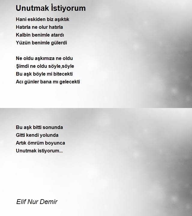 Elif Nur Demir