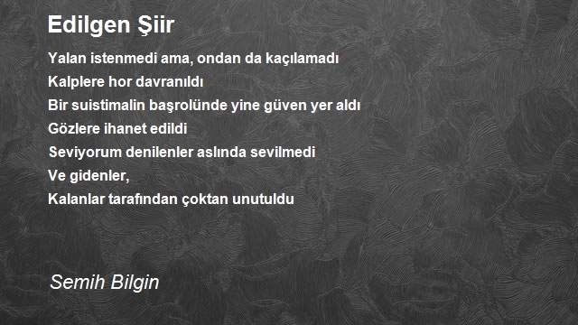 Semih Bilgin