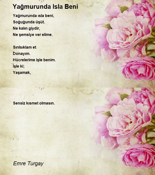 Emre Turgay