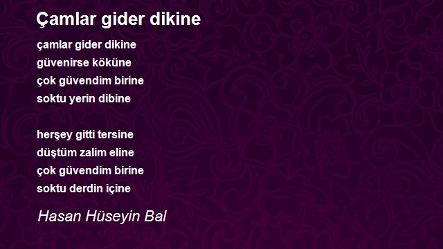 Hasan Hüseyin Bal