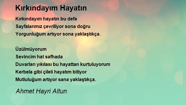 Ahmet Hayri Altun