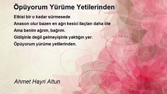 Ahmet Hayri Altun