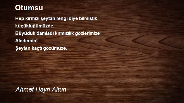 Ahmet Hayri Altun