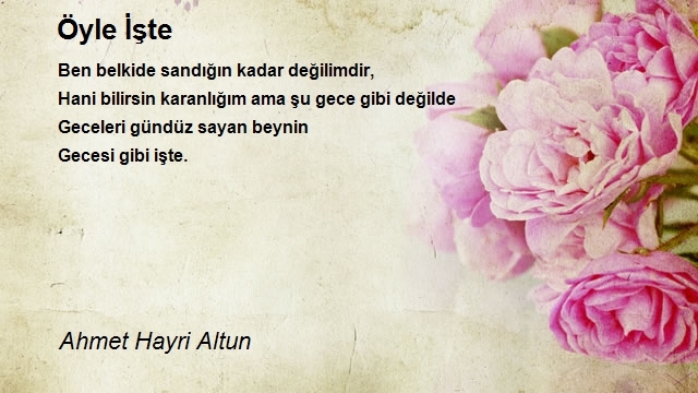 Ahmet Hayri Altun