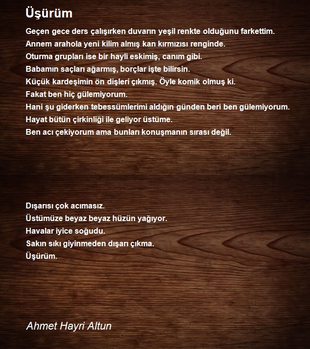 Ahmet Hayri Altun