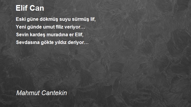 Mahmut Cantekin