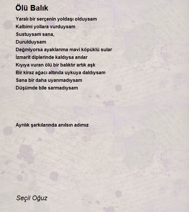 Seçil Oğuz