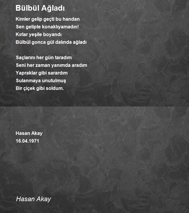 Hasan Akay