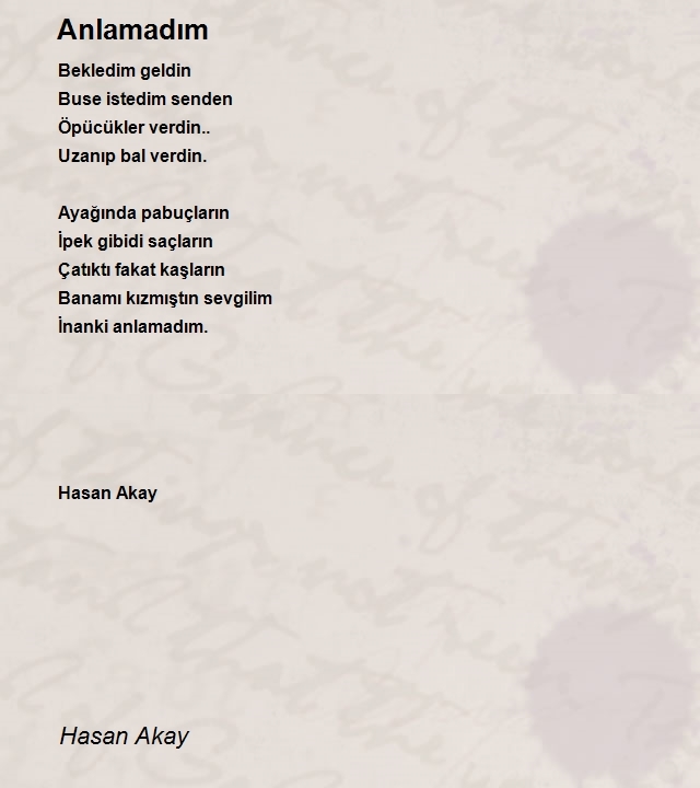 Hasan Akay