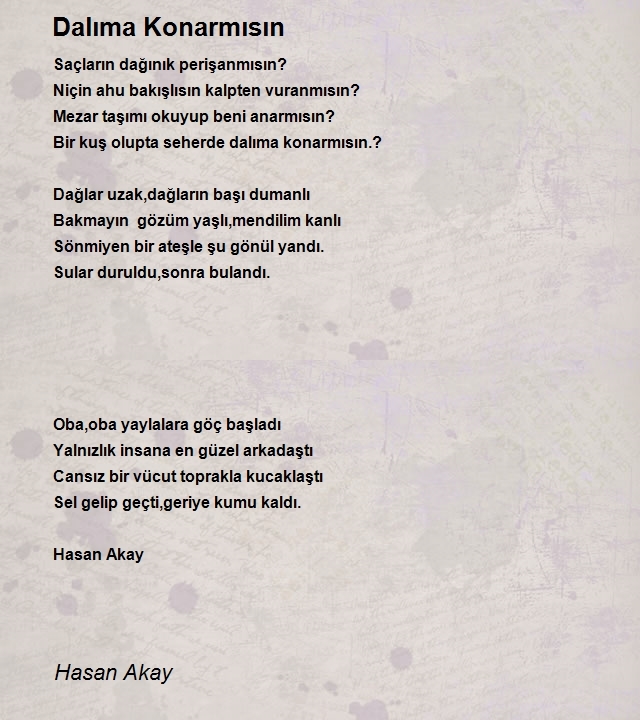 Hasan Akay