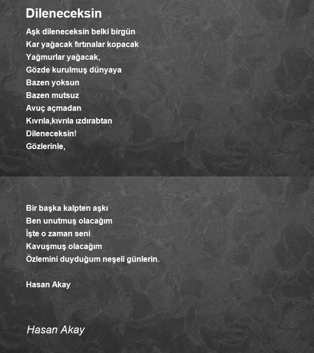 Hasan Akay