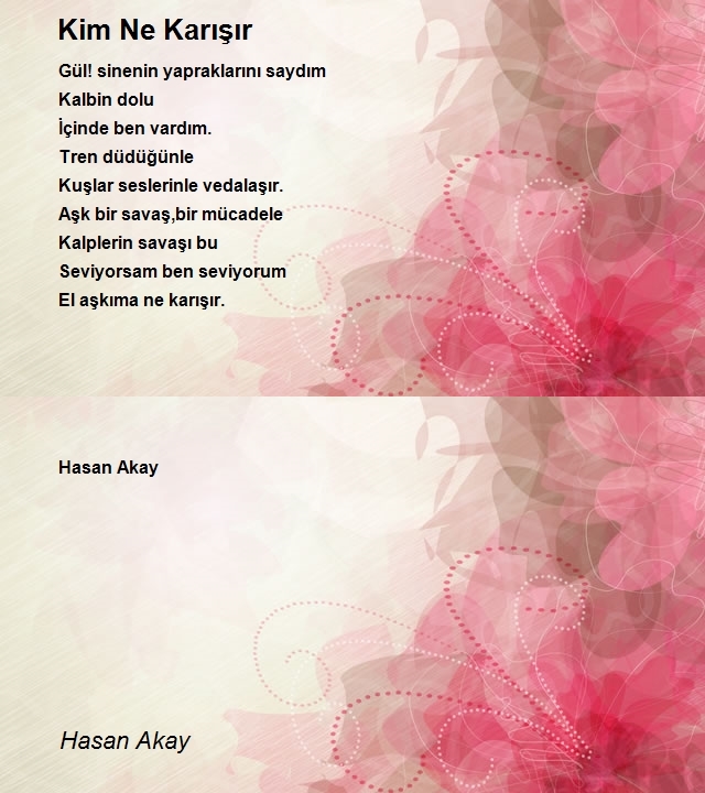 Hasan Akay