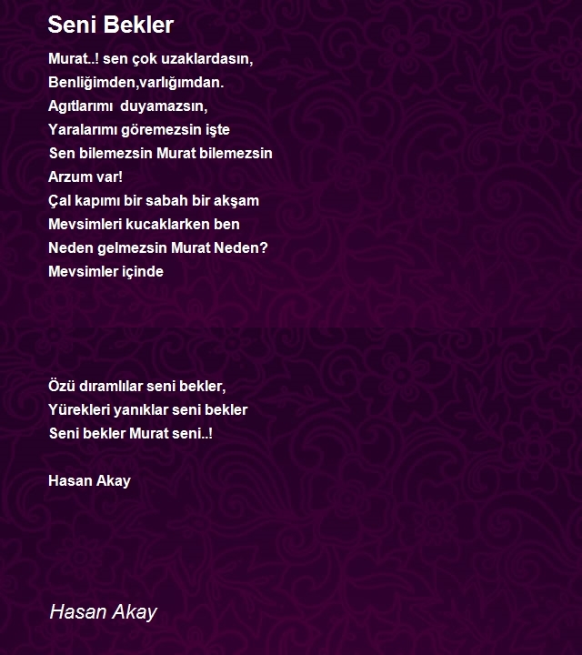 Hasan Akay