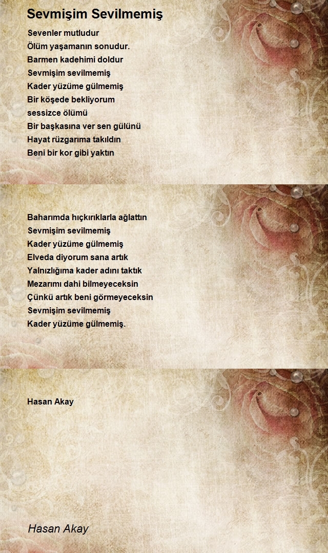 Hasan Akay