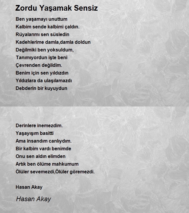 Hasan Akay