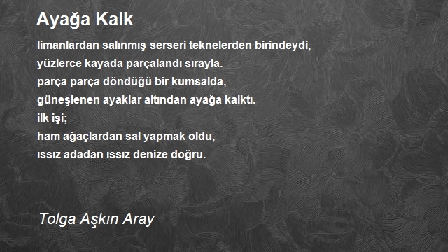 Tolga Aşkın Aray