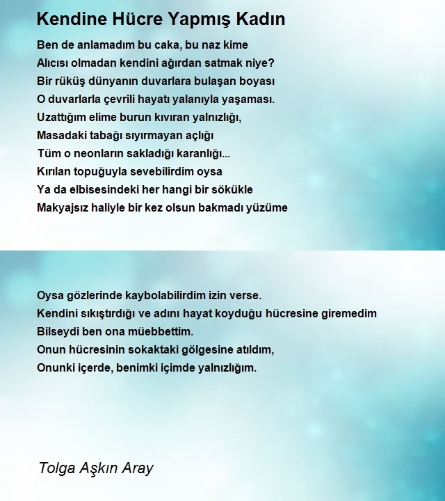 Tolga Aşkın Aray