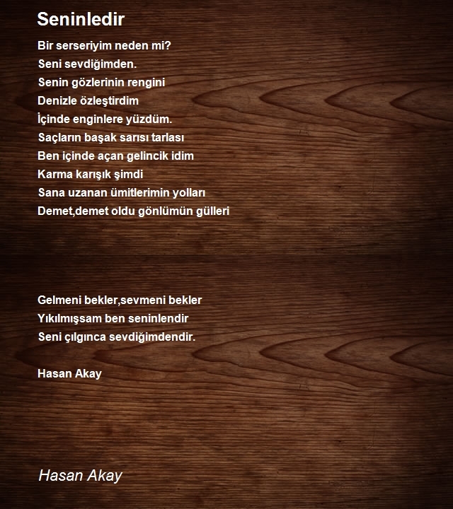 Hasan Akay