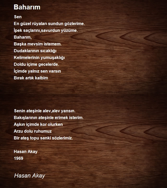 Hasan Akay