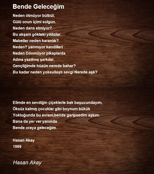 Hasan Akay