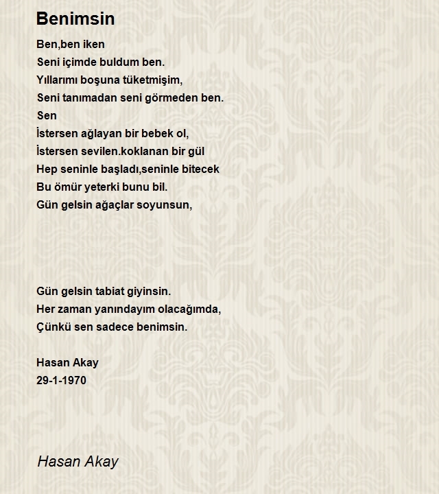 Hasan Akay