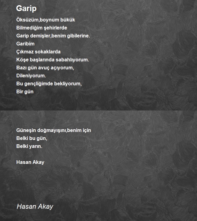 Hasan Akay