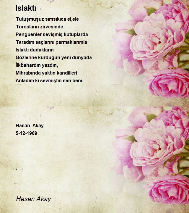 Hasan Akay