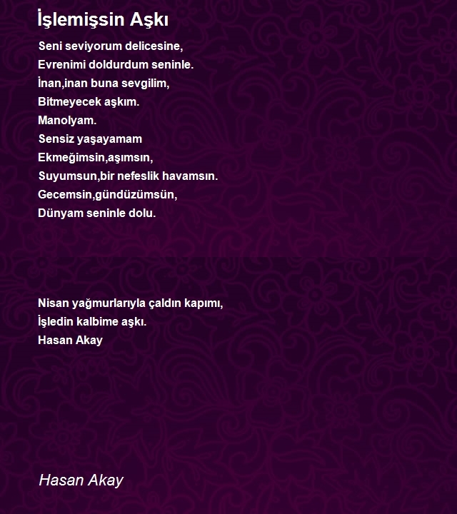 Hasan Akay