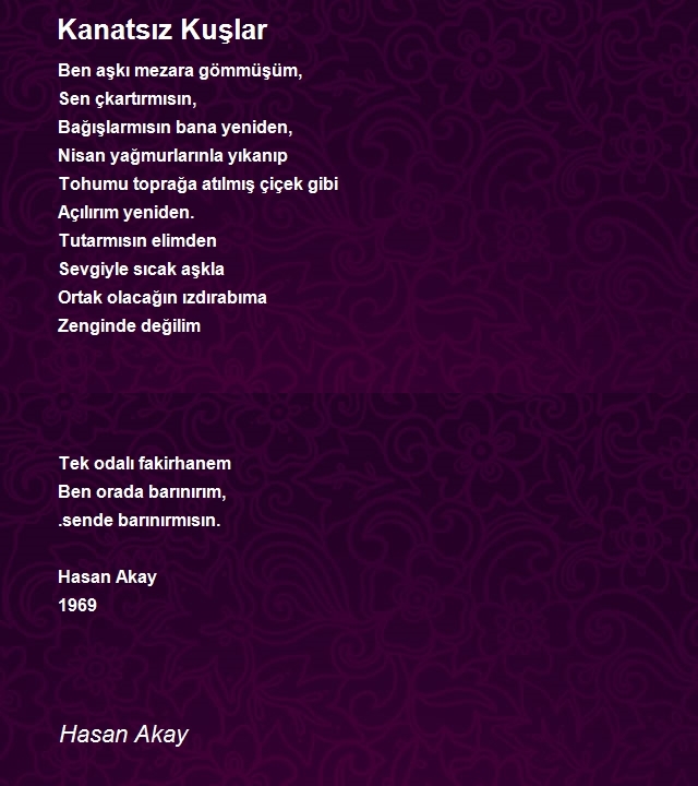 Hasan Akay