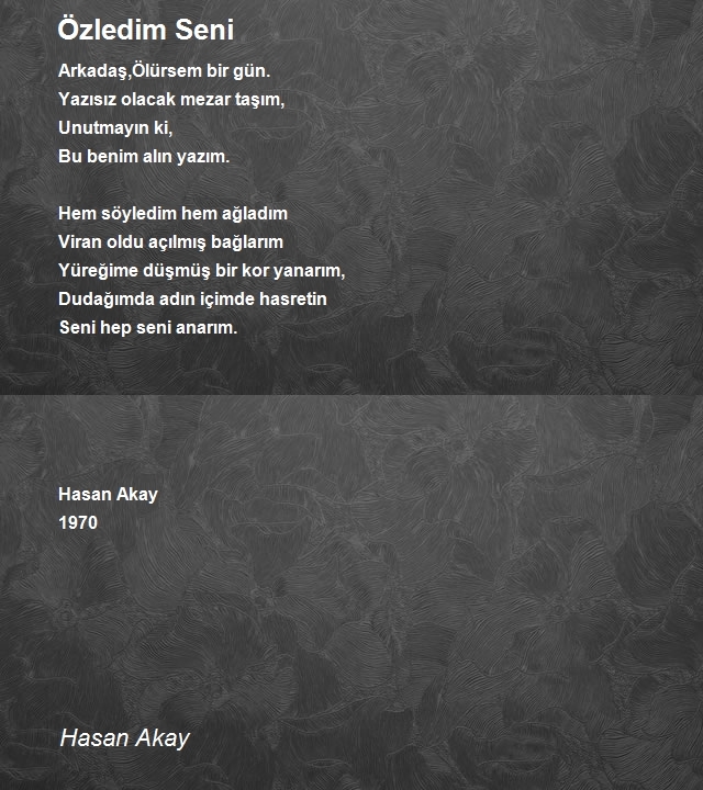 Hasan Akay