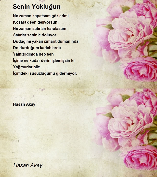 Hasan Akay