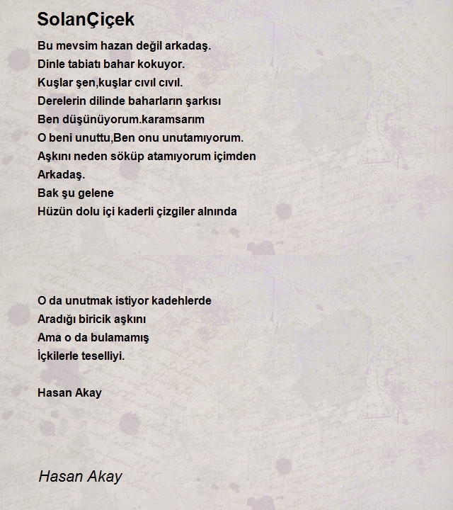 Hasan Akay